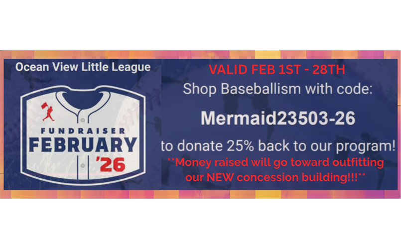 Febuary Fundraiser - Baseballism